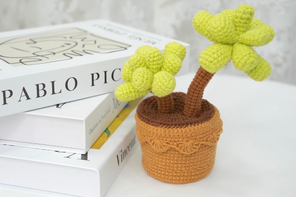 Crochet Succulent Pot Pattern