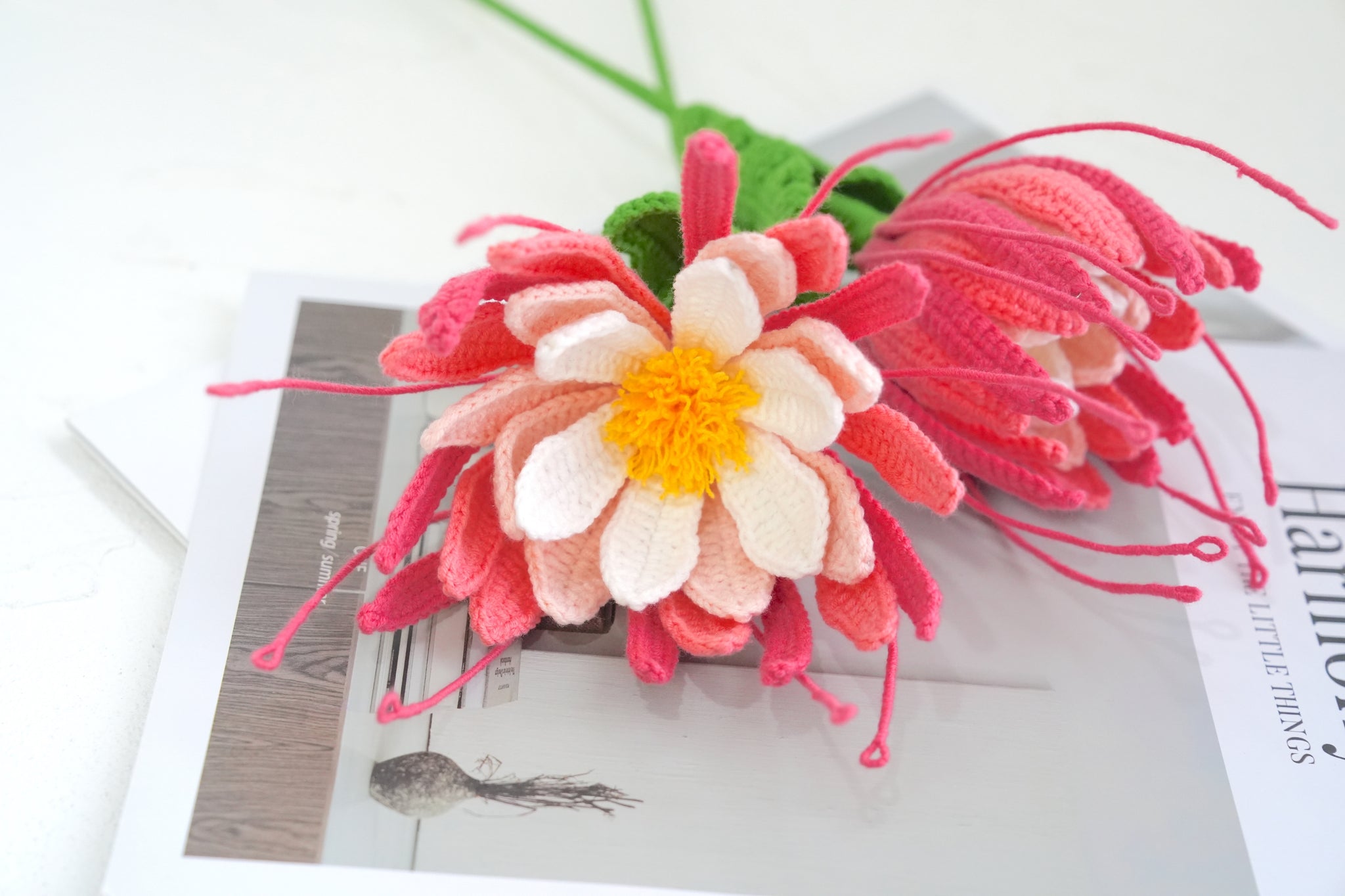 Crochet Epiphyllum Oxypetalum Flower Pattern Free (PDF + Beginner Tutorial)