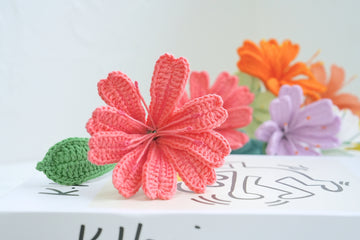 Crochet Siskiyou Lewisia Flower Pattern Free (PDF + Beginner Tutorial)