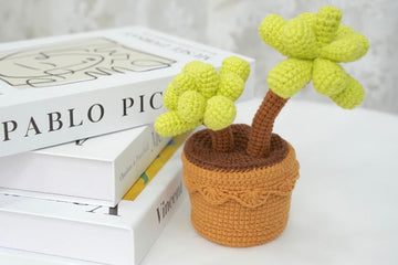 Crochet Succulent Pot Pattern Free 