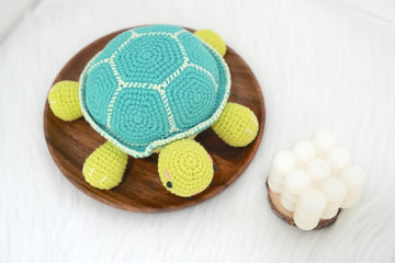 Crochet Turtle (Free Pattern)