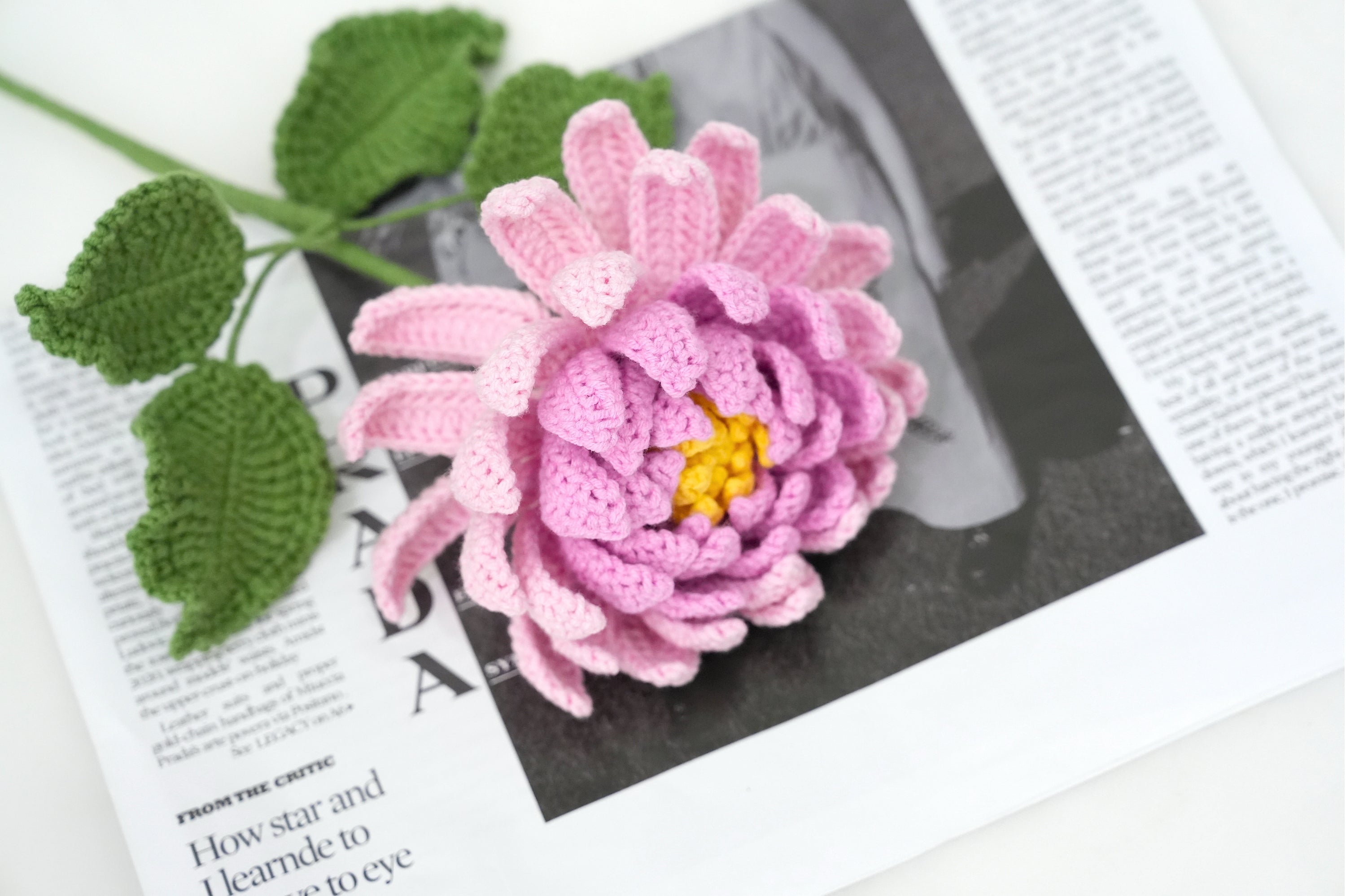 Crochet Dahlia Pattern Free (PDF + Beginner Tutorial)